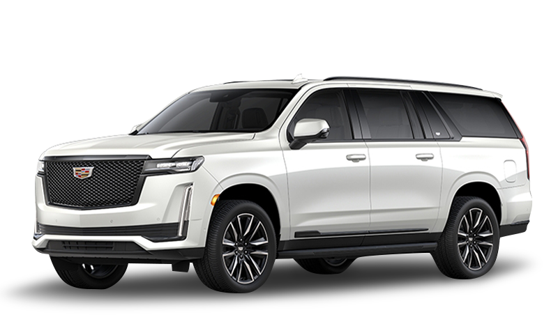 크리스탈 화이트 트리코트 익스테리어